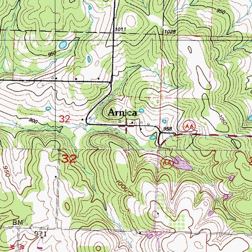 Topographic Map of Arnica, MO