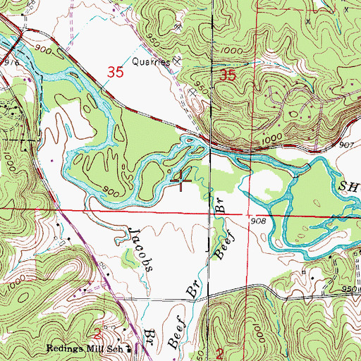 Topographic Map of Beef Branch, MO