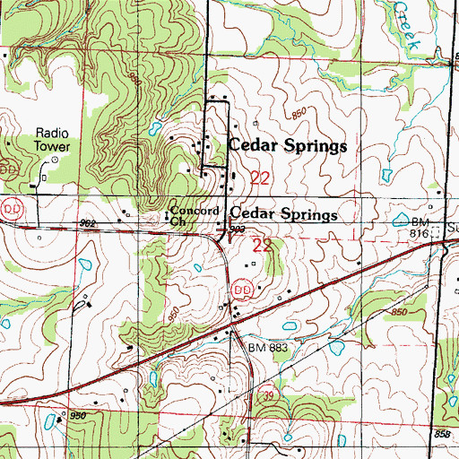 Topographic Map of Cedar Springs, MO