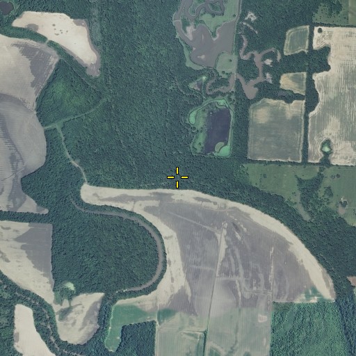 Aerial/Satellite Image of Double Branch, MO