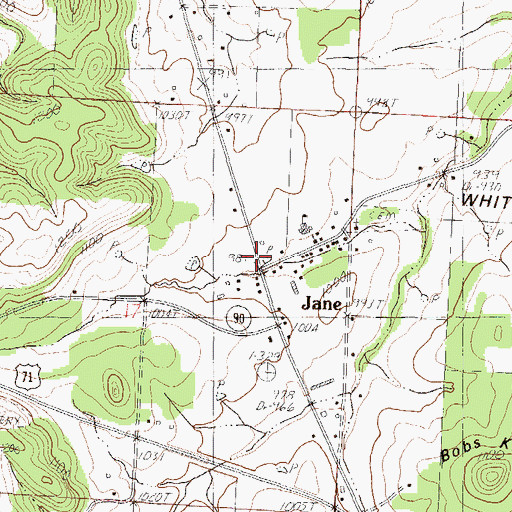 Topographic Map of Jane, MO