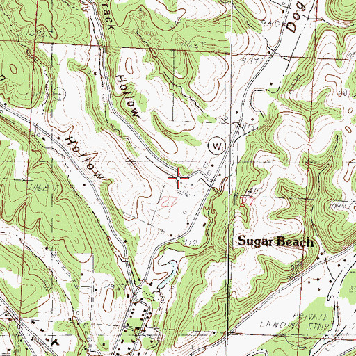 Topographic Map of Race Track Hollow, MO
