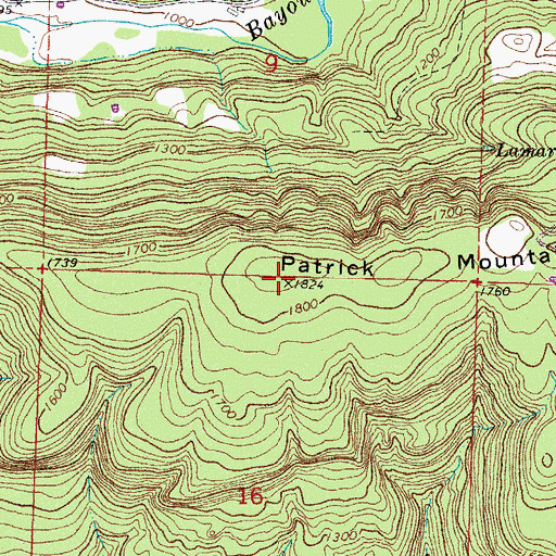 Topographic Map of Patrick Mountain, AR