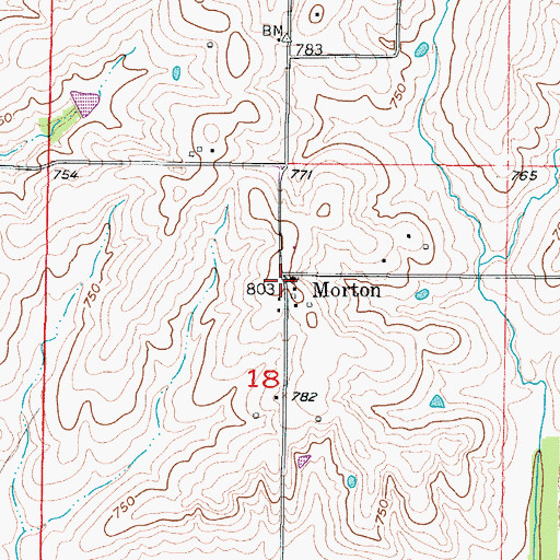 Topographic Map of Morton, MO