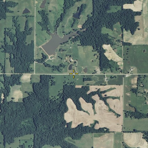 Aerial/Satellite Image of Rawlie School (historical), MO
