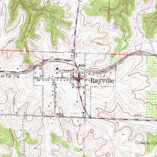 Topographic Map of Rayville, MO