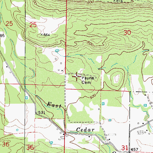 Topographic Map of Payne Cemetery, AR