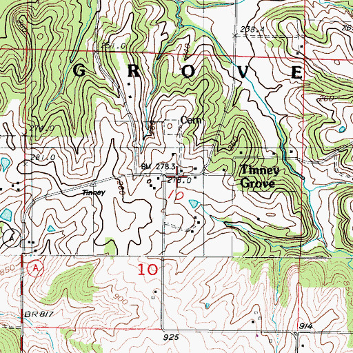 Topographic Map of Tinney Grove, MO