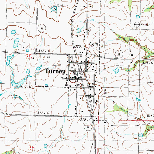 Topographic Map of Turney, MO