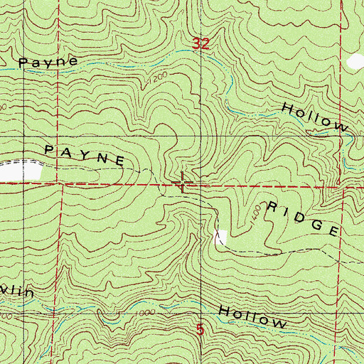 Topographic Map of Payne Ridge, AR