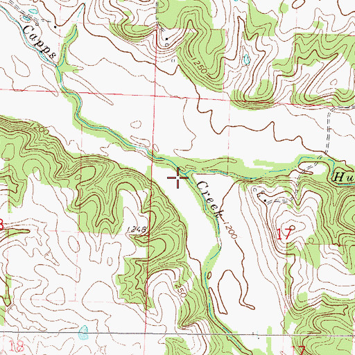 Topographic Map of South Fork Capps Creek, MO