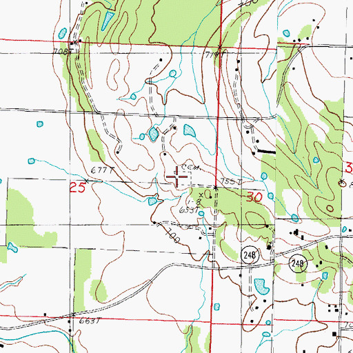 Topographic Map of Pearson Cemetery, AR