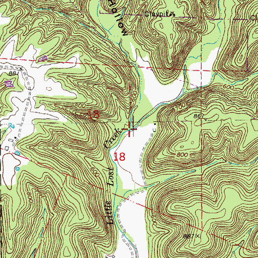 Topographic Map of Wilsons Branch, MO