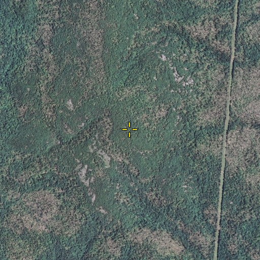 Aerial/Satellite Image of Goggins Mountain, MO