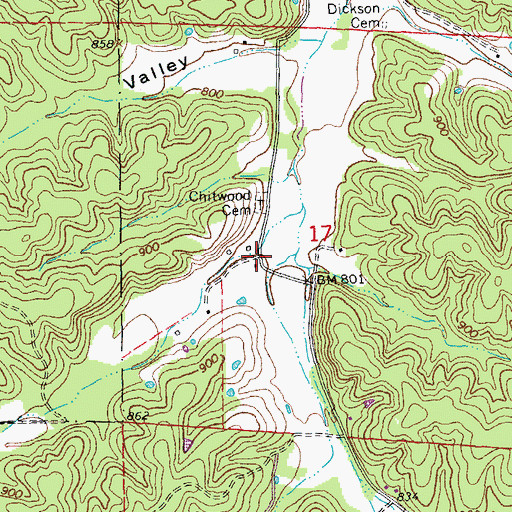 Topographic Map of Chitwood, MO