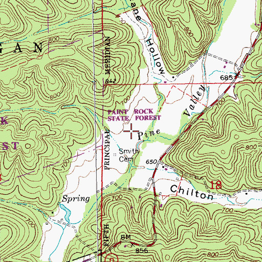 Topographic Map of Pine Valley, MO