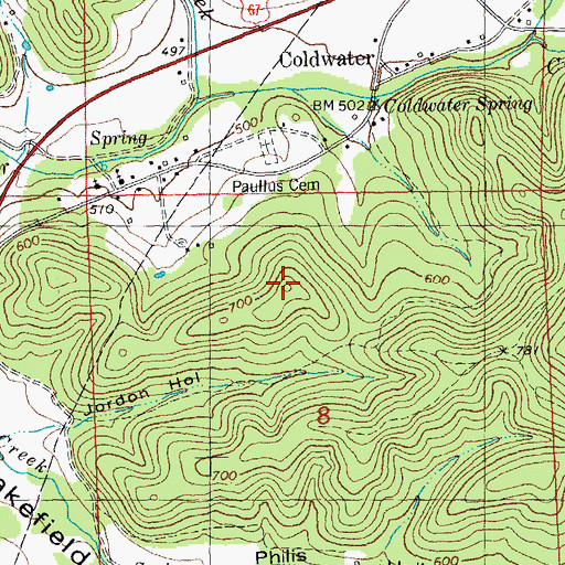 Topographic Map of Wilkinson Mountain, MO