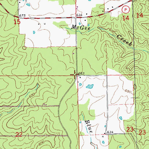 Topographic Map of Flatwoods, MO