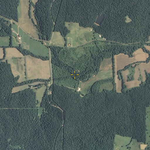 Aerial/Satellite Image of DeCelis Branch, MO