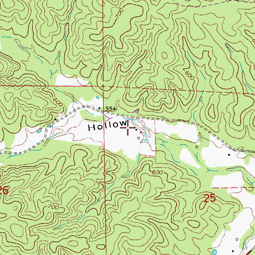 Topographic Map of Hickory Grove Church, MO