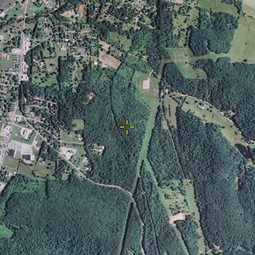 Aerial/Satellite Image of Peach Tree Spring, MO
