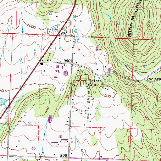 Topographic Map of Peters Cemetery, AR