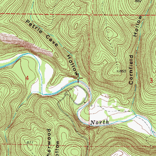 Topographic Map of Petrie Cave Hollow, AR