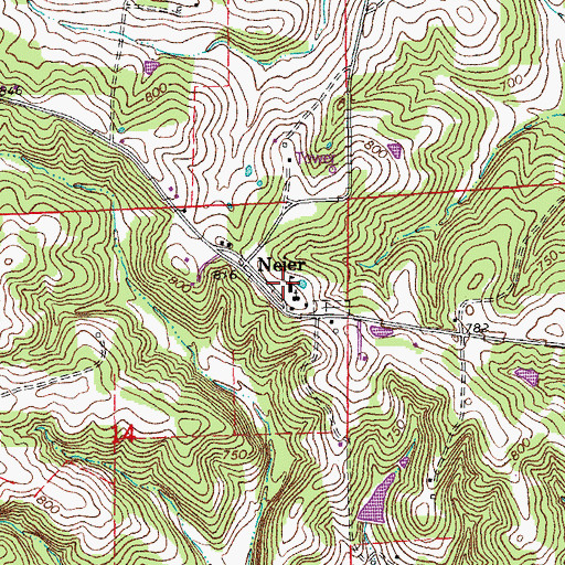 Topographic Map of Neier School, MO