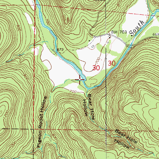 Topographic Map of Pigeon Roost Hollow, AR