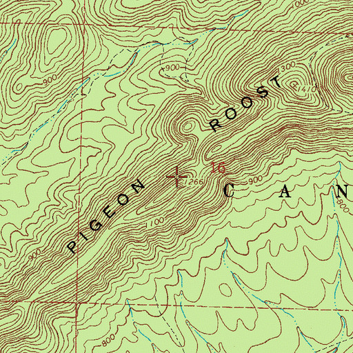 Topographic Map of Pigeon Roost Mountain, AR
