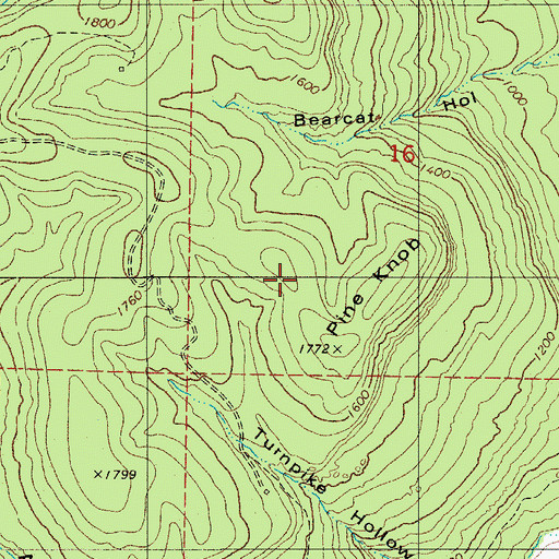 Topographic Map of Pine Knob, AR