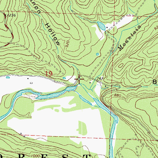 Topographic Map of Pinon Hollow, AR