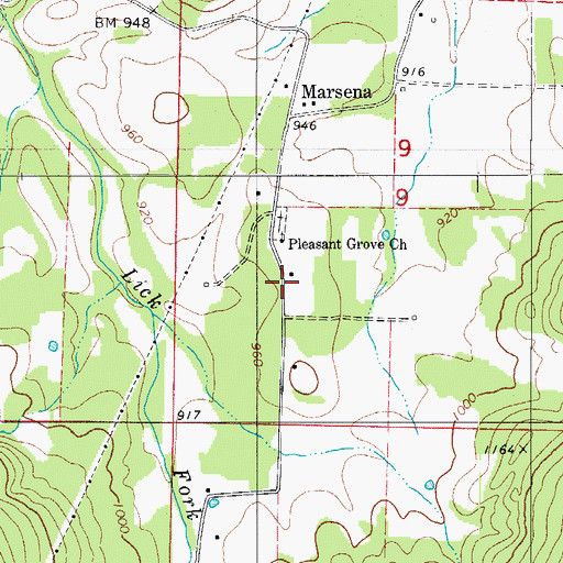 Topographic Map of Pleasant Church, AR