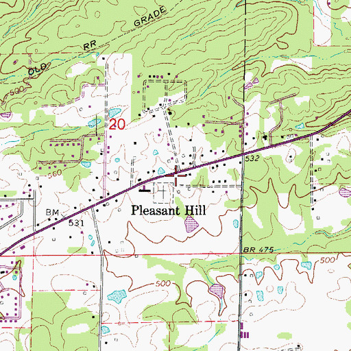 Topographic Map of Pleasant Hill, AR