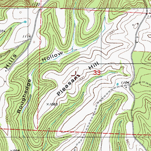 Topographic Map of Pleasant Hill, AR