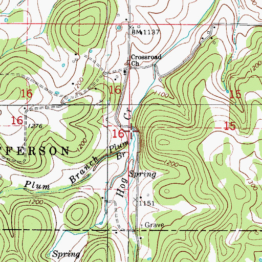 Topographic Map of Plum Branch, AR