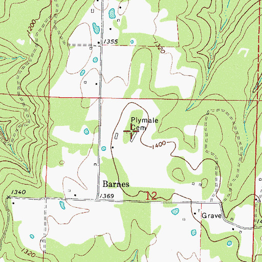Topographic Map of Plymale Cemetery, AR