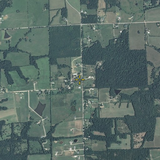 Aerial/Satellite Image of Luebbering, MO
