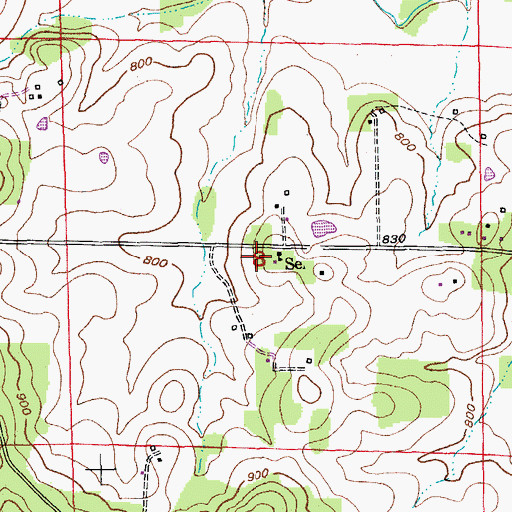 Topographic Map of Seminary School, MO