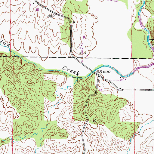 Topographic Map of Todd Branch, MO
