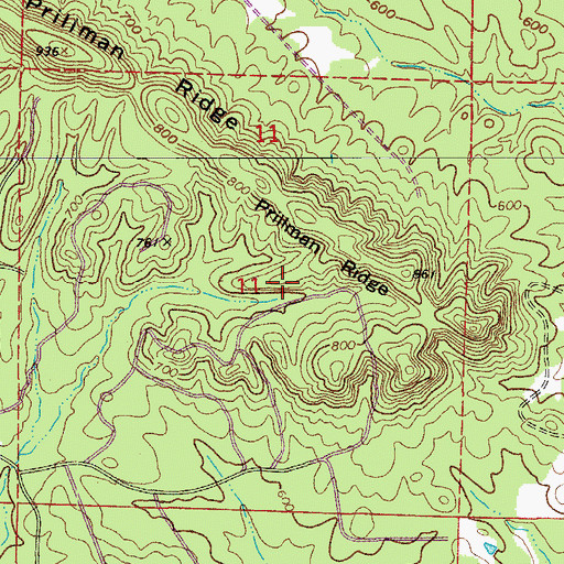 Topographic Map of Prillman Ridge, AR