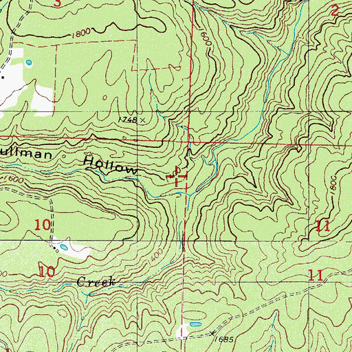Topographic Map of Pullman Hollow, AR