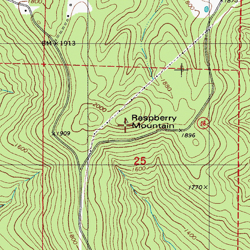 Topographic Map of Raspberry Mountain, AR