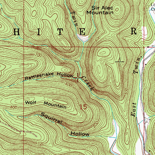 Topographic Map of Rattlesnake Hollow, AR