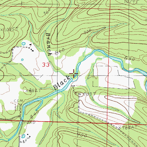 Topographic Map of Ray Branch, AR