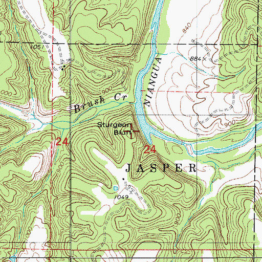 Topographic Map of Sturgeon Bluff, MO