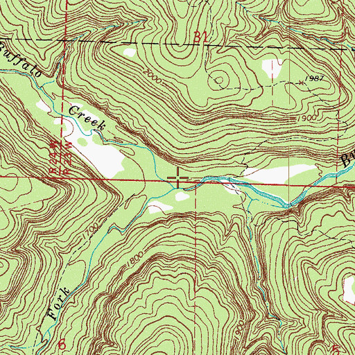 Topographic Map of Reeves Fork, AR