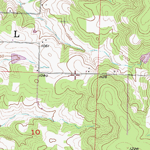 Topographic Map of New Home School (historical), MO