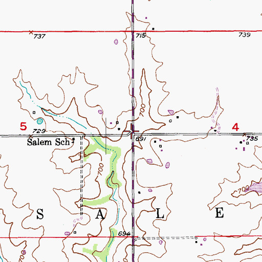 Topographic Map of Salem, MO