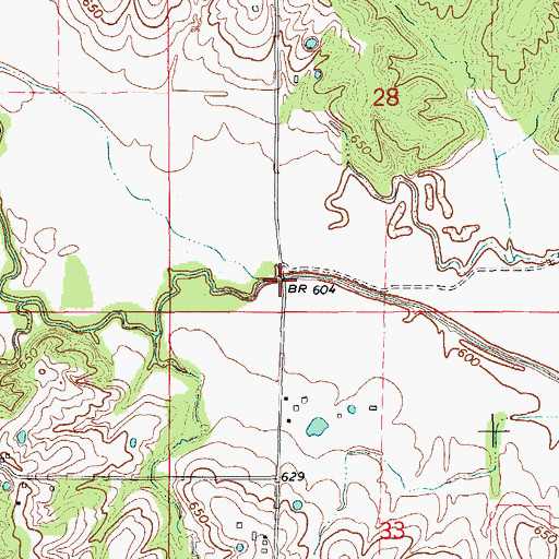 Topographic Map of Haycraft Bridge, MO